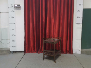 TABLE PLIANTE