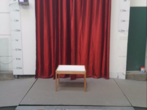TABLE ENFANT 