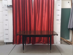 TABLE + 2 RALLONGES